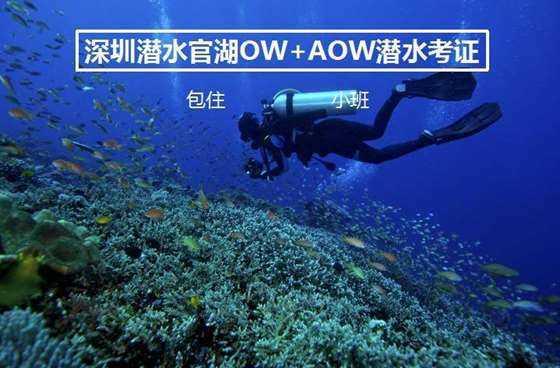 非婚子女财产继承比例