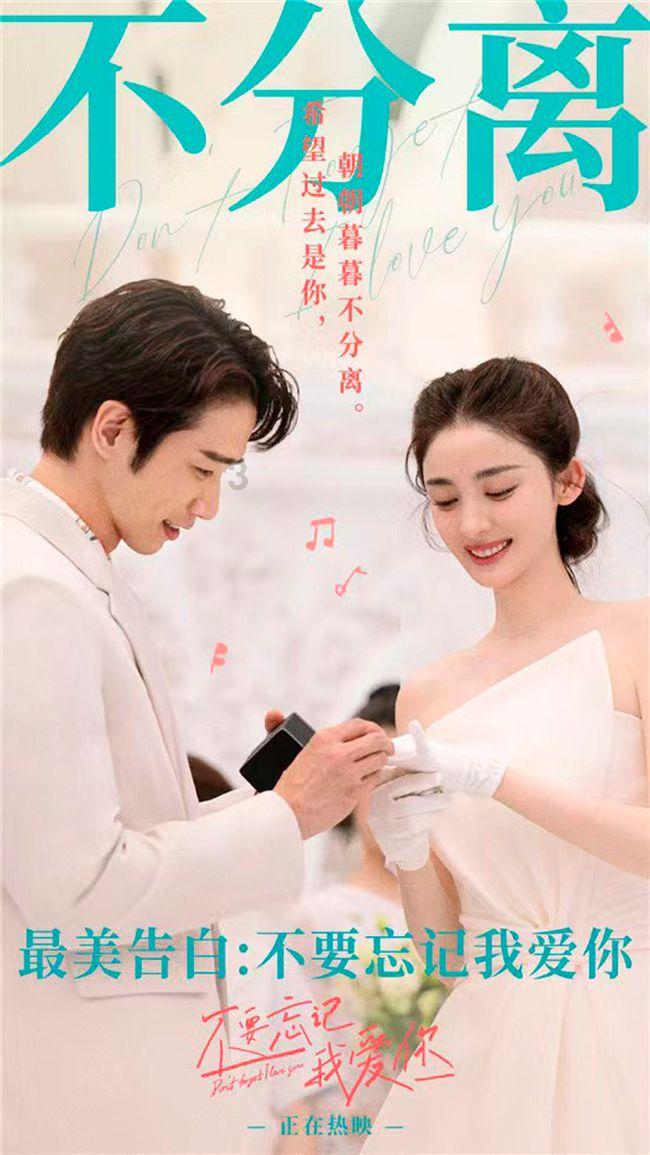 七星瓢虫的外形特点游戏画面